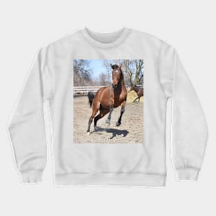 Handsome Crewneck Sweatshirt